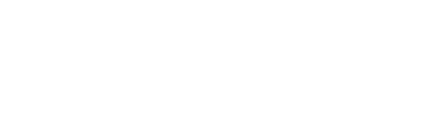BathroomWale logo variant 1