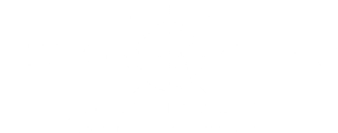 Designometric Consultants logo variant 1
