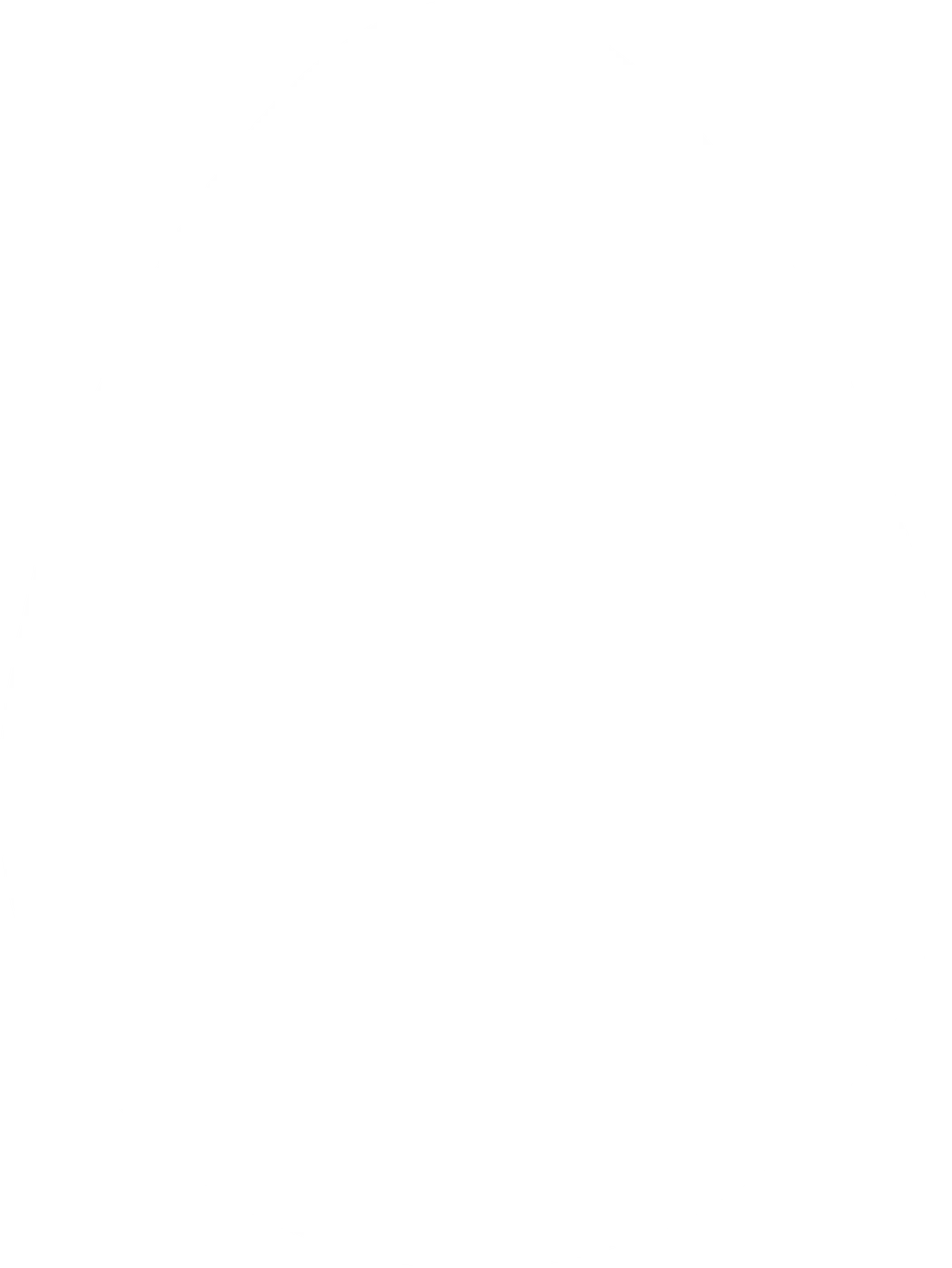 Ecodine Supply logo variant 4