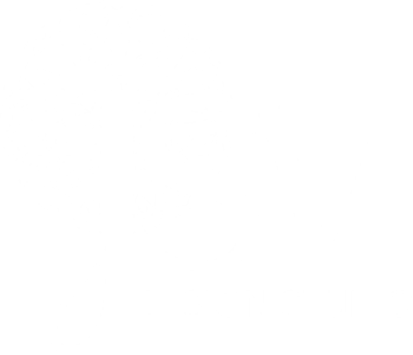 JSV Design Studio logo variant 3