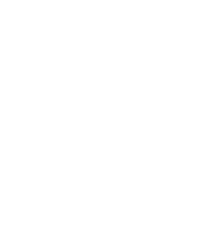Shivam Globex logo variant 4