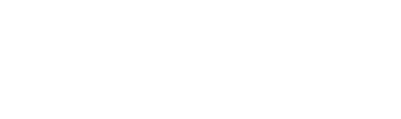Skilluence logo variant 1