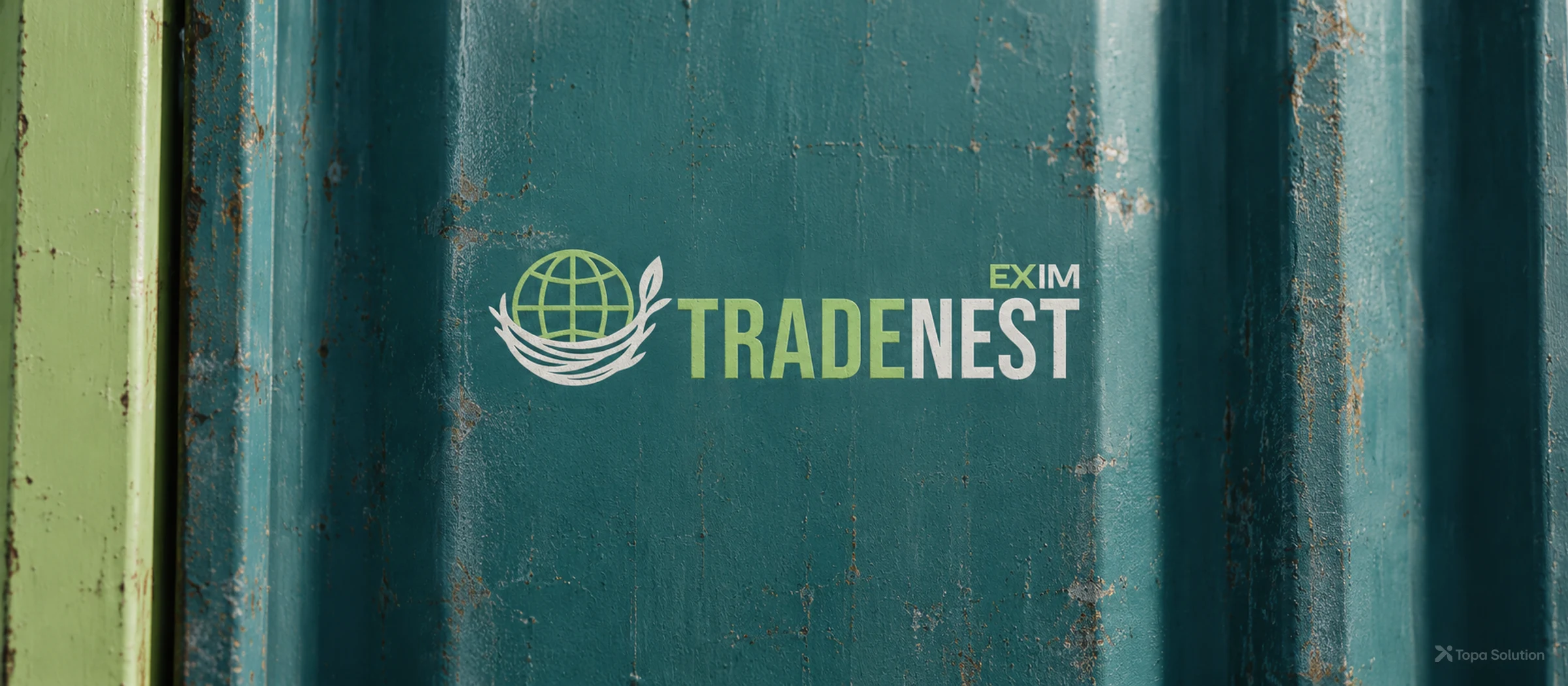 Trade Nest Exim brand identity banner