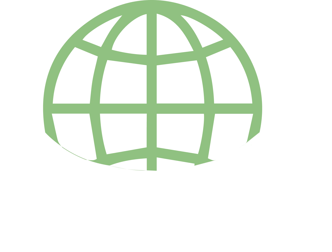 Trade Nest Exim logo variant 4