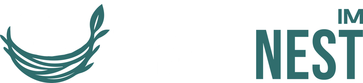 Trade Nest Exim logo variant 1