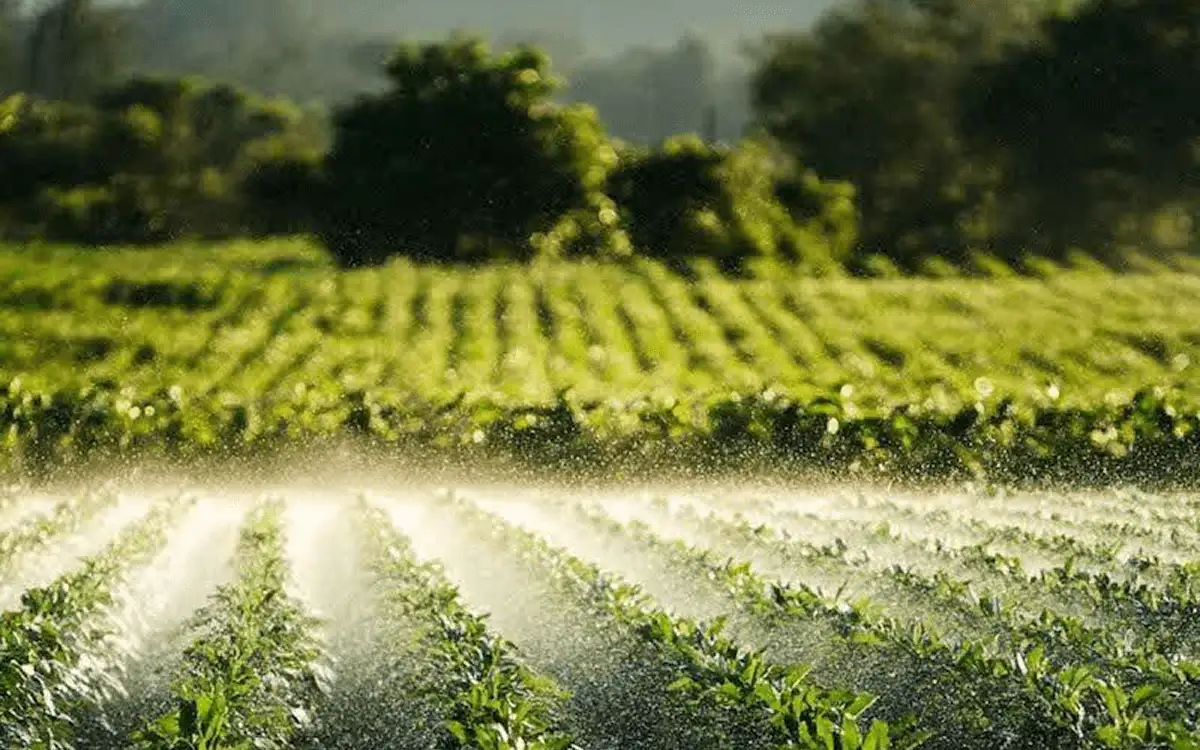 Krushify Agro